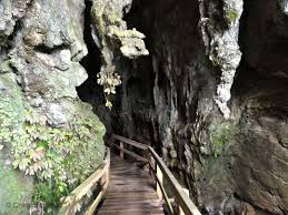 Tours - Glow Worm Caves