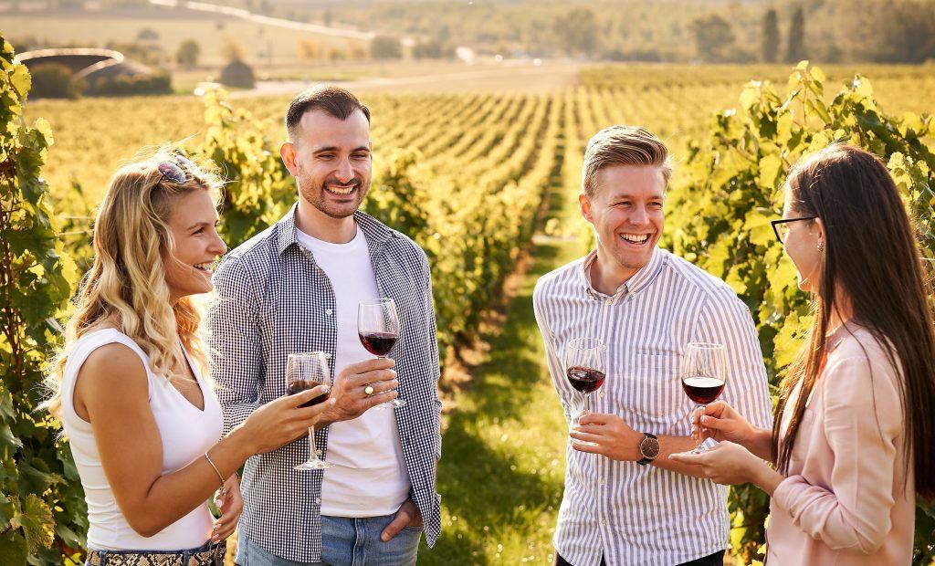 Bay of Islands Wine Tour